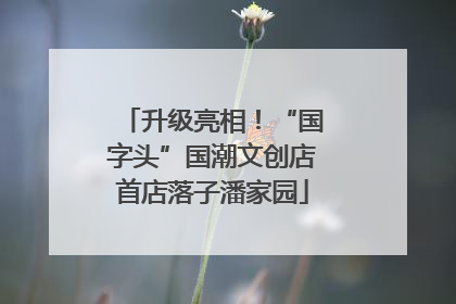 升级亮相！“国字头”国潮文创店首店落子潘家园