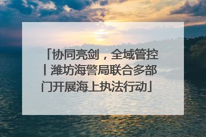 协同亮剑，全域管控丨潍坊海警局联合多部门开展海上执法行动