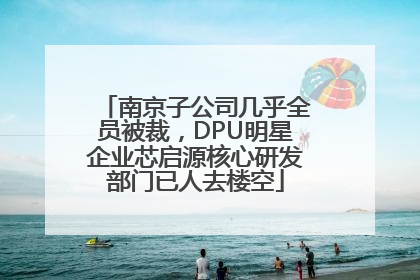 南京子公司几乎全员被裁，DPU明星企业芯启源核心研发部门已人去楼空