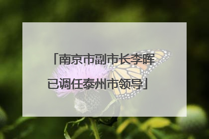 南京市副市长李晖已调任泰州市领导