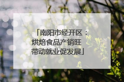 南阳市经开区：烘焙食品产销旺 带动就业促发展
