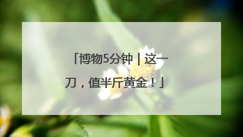 博物5分钟｜这一刀，值半斤黄金！