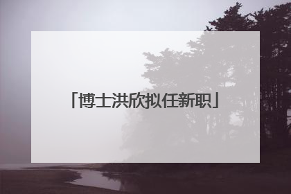 博士洪欣拟任新职