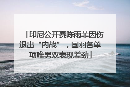 印尼公开赛陈雨菲因伤退出“内战”，国羽各单项唯男双表现差劲