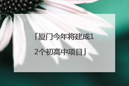 厦门今年将建成12个初高中项目