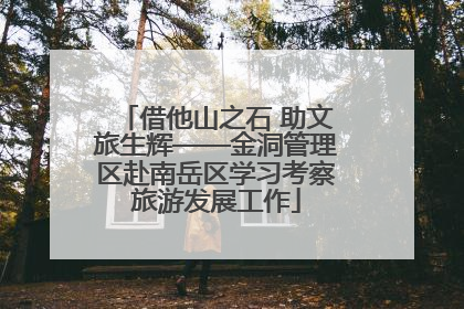 借他山之石 助文旅生辉——金洞管理区赴南岳区学习考察旅游发展工作