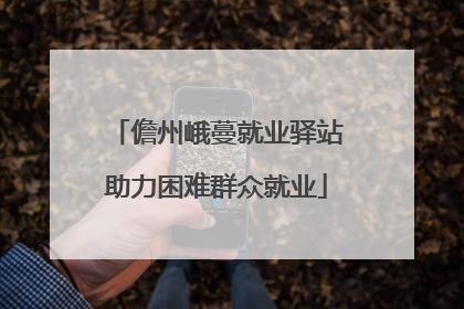 儋州峨蔓就业驿站助力困难群众就业