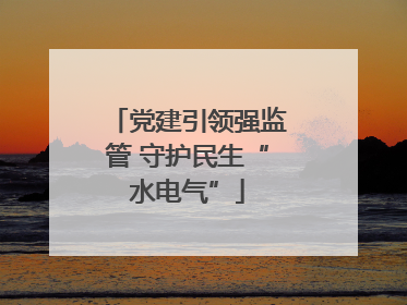 党建引领强监管 守护民生“水电气”
