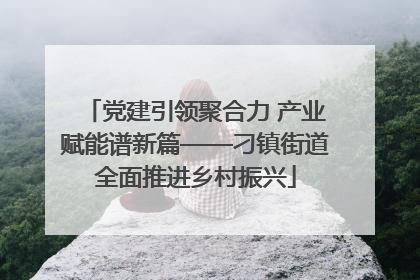 党建引领聚合力 产业赋能谱新篇——刁镇街道全面推进乡村振兴