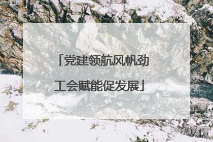 党建领航风帆劲 工会赋能促发展