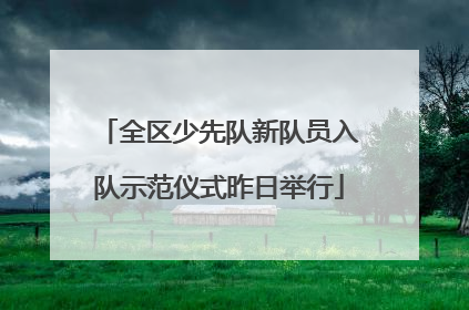 全区少先队新队员入队示范仪式昨日举行