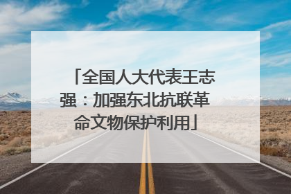 全国人大代表王志强：加强东北抗联革命文物保护利用