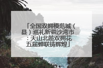 全国双拥模范城（县）巡礼新疆沙湾市：天山北麓双拥花 五届蝉联铸辉煌