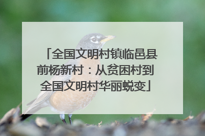 全国文明村镇临邑县前杨新村：从贫困村到全国文明村华丽蜕变