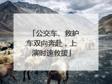 公交车、救护车双向奔赴，上演时速救援