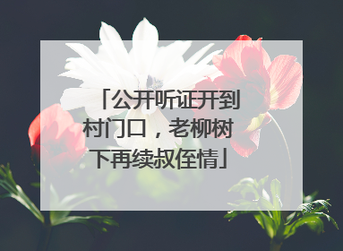 公开听证开到村门口，老柳树下再续叔侄情