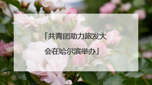 共青团助力旅发大会在哈尔滨举办