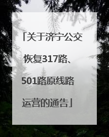 关于济宁公交恢复317路、501路原线路运营的通告