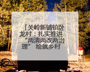 关岭新铺镇卧龙村：扎实推进“两清两改两治理” 绘就乡村宜居新图景