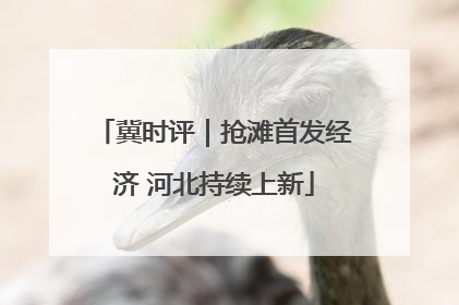 冀时评｜抢滩首发经济 河北持续上新