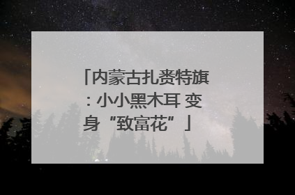 内蒙古扎赉特旗：小小黑木耳 变身“致富花”