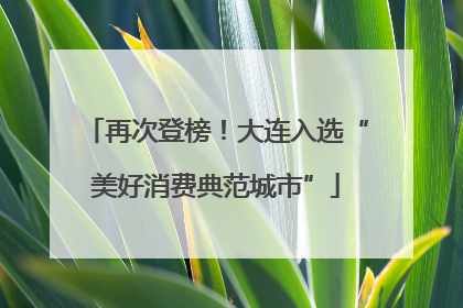 再次登榜！大连入选“美好消费典范城市”