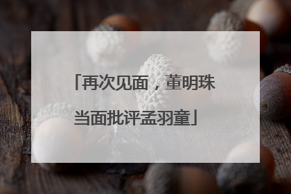 再次见面，董明珠当面批评孟羽童