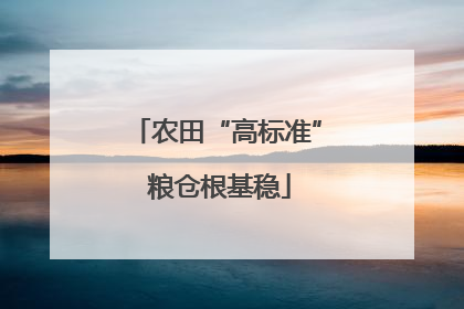 农田“高标准” 粮仓根基稳