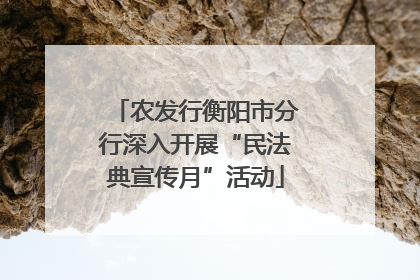 农发行衡阳市分行深入开展“民法典宣传月”活动
