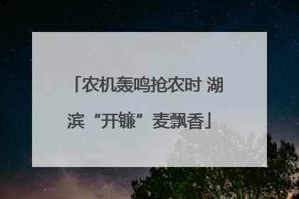 农机轰鸣抢农时 湖滨“开镰”麦飘香