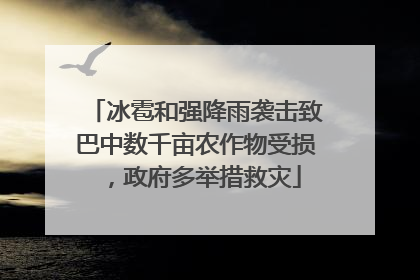 冰雹和强降雨袭击致巴中数千亩农作物受损，政府多举措救灾