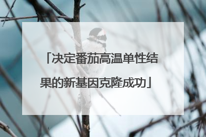 决定番茄高温单性结果的新基因克隆成功