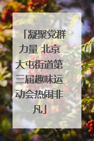 凝聚党群力量 北京大屯街道第三届趣味运动会热闹非凡