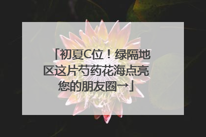 初夏C位！绿隔地区这片芍药花海点亮您的朋友圈→