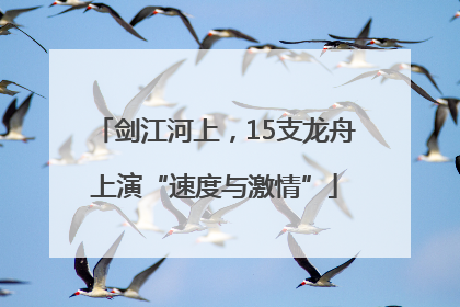 剑江河上，15支龙舟上演“速度与激情”