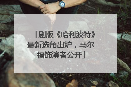 剧版《哈利波特》最新选角出炉，马尔福饰演者公开