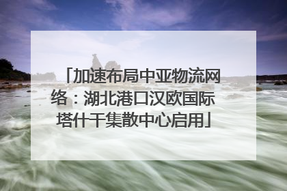 加速布局中亚物流网络：湖北港口汉欧国际塔什干集散中心启用