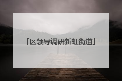 区领导调研新虹街道