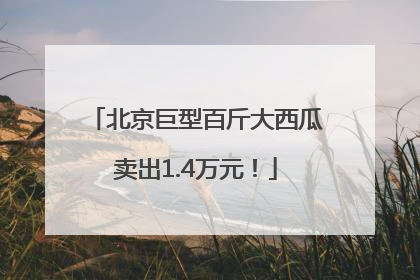 北京巨型百斤大西瓜卖出1.4万元！