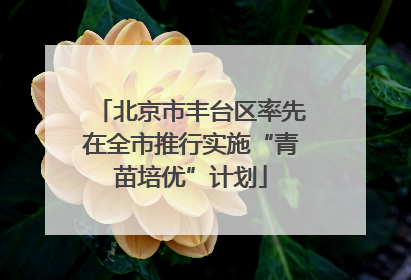 北京市丰台区率先在全市推行实施“青苗培优”计划