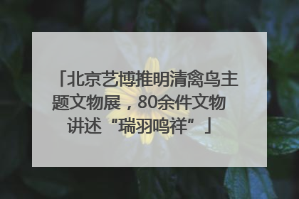 北京艺博推明清禽鸟主题文物展，80余件文物讲述“瑞羽鸣祥”