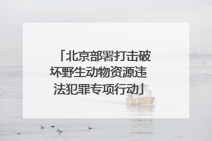 北京部署打击破坏野生动物资源违法犯罪专项行动