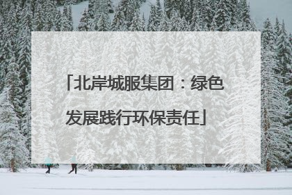 北岸城服集团：绿色发展践行环保责任