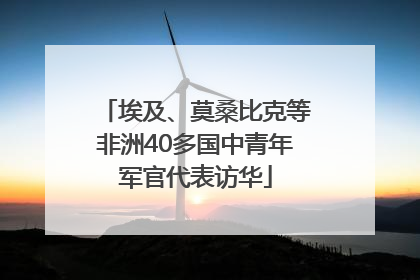 埃及、莫桑比克等非洲40多国中青年军官代表访华