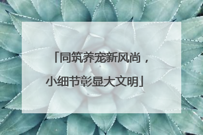 同筑养宠新风尚，小细节彰显大文明
