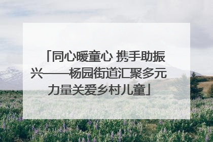 同心暖童心 携手助振兴——杨园街道汇聚多元力量关爱乡村儿童