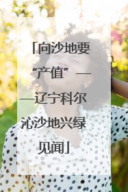 向沙地要“产值”——辽宁科尔沁沙地兴绿见闻