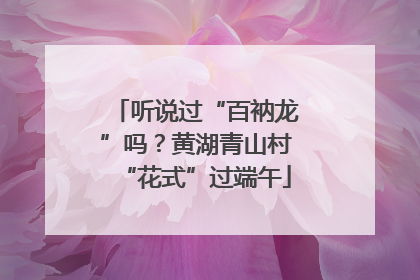 听说过“百衲龙”吗？黄湖青山村“花式”过端午