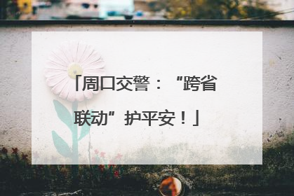 周口交警：“跨省联动”护平安！