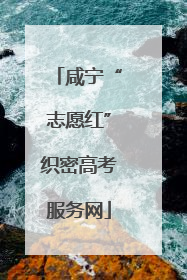 咸宁“志愿红”织密高考服务网